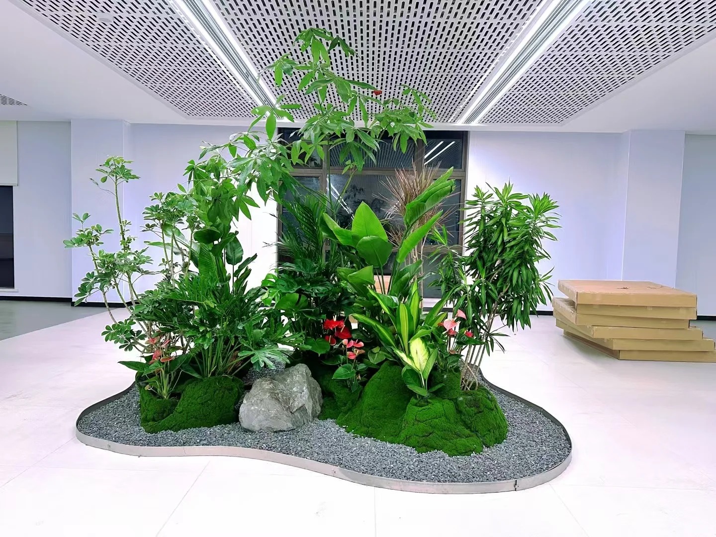 体验前湾花木租摆,享受绿色环绕的美好生活!