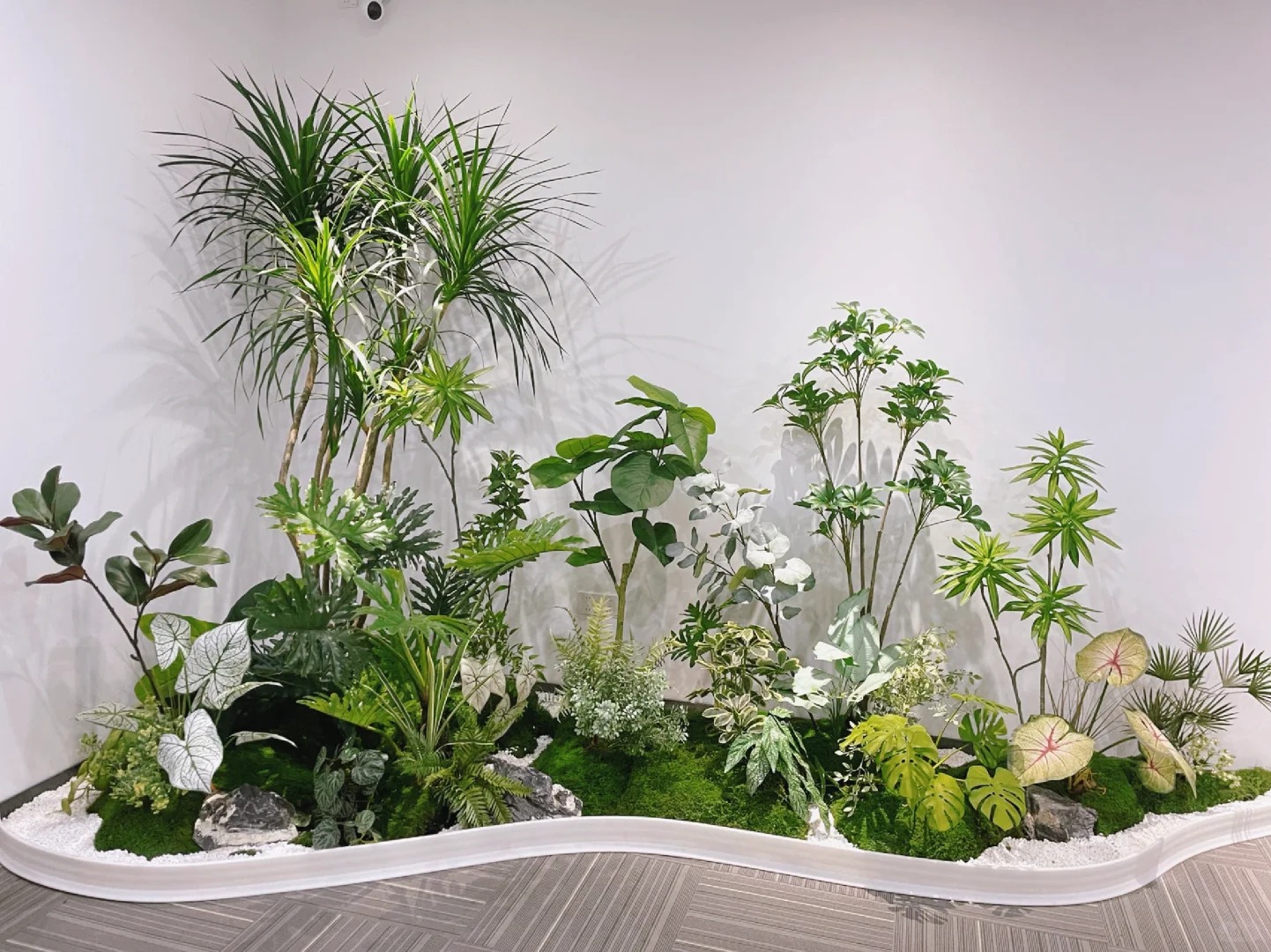 体验前湾花木租摆,享受绿色环绕的美好生活!